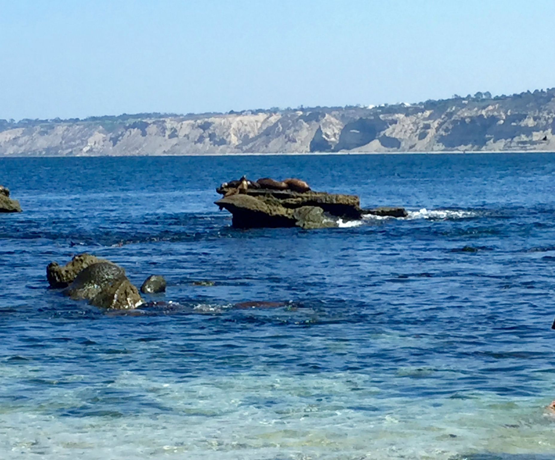 Afternoon at La Jolla.