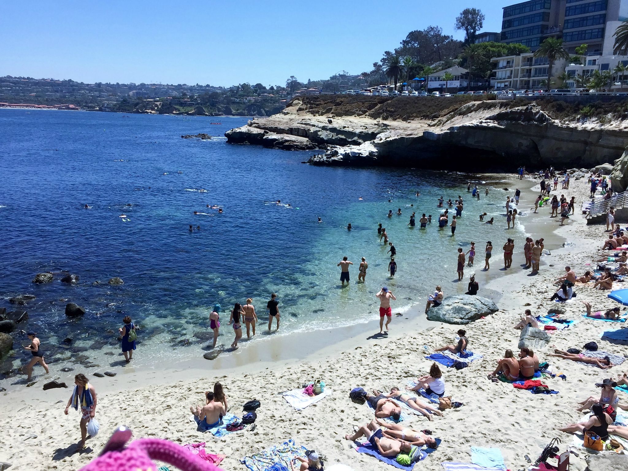 We snorkeled in this cove with sea ions..ugh!