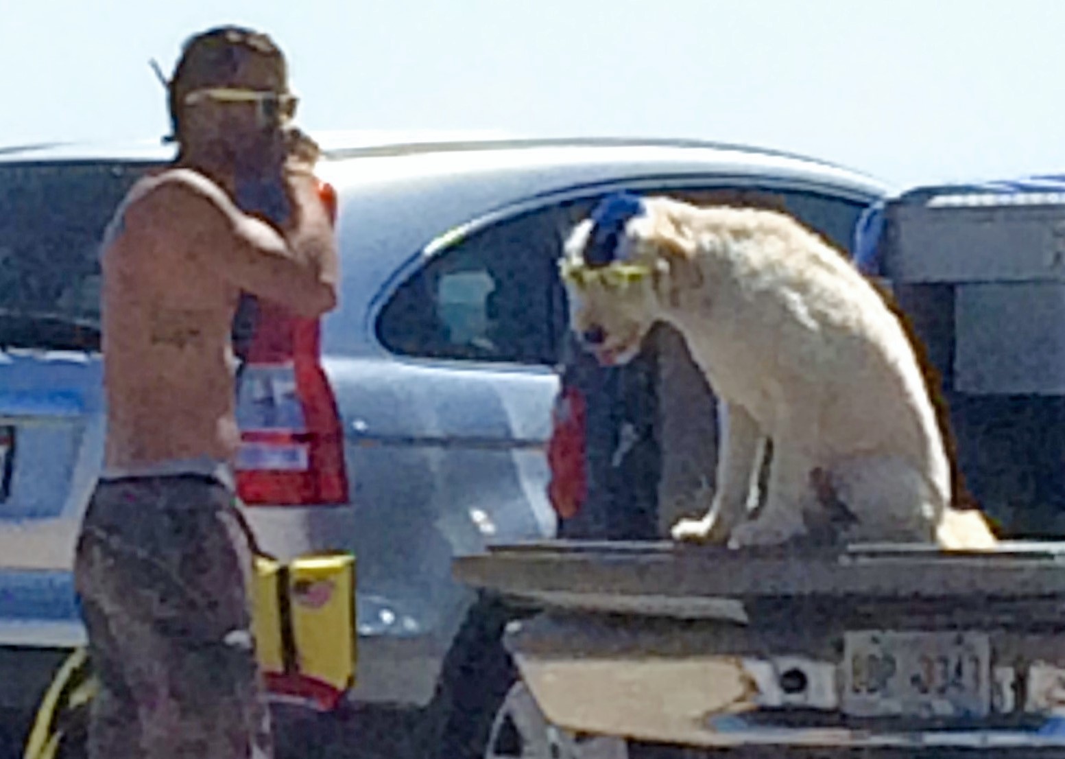 Beach with cool dog and his master