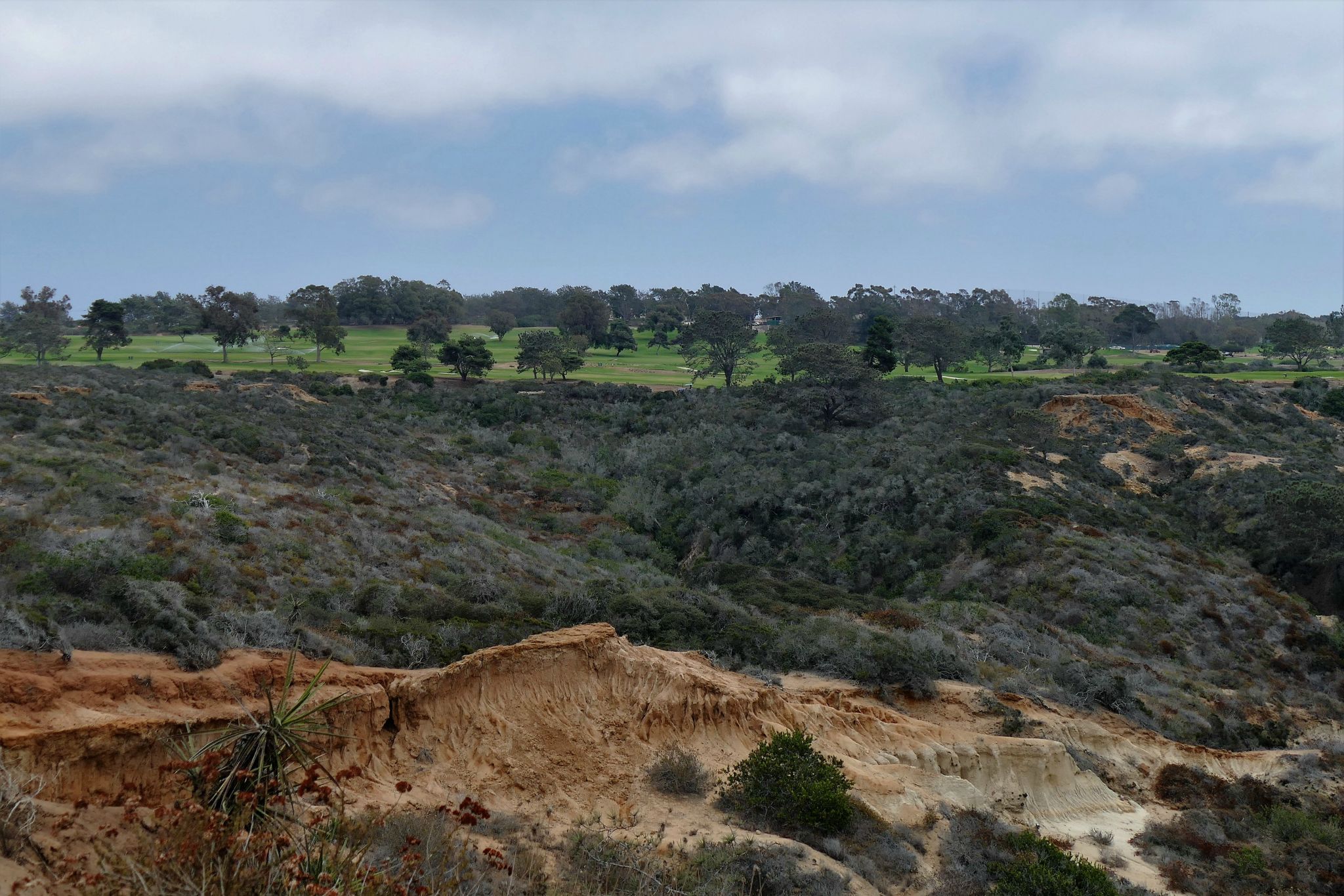 Famous La Jolla Golf Course