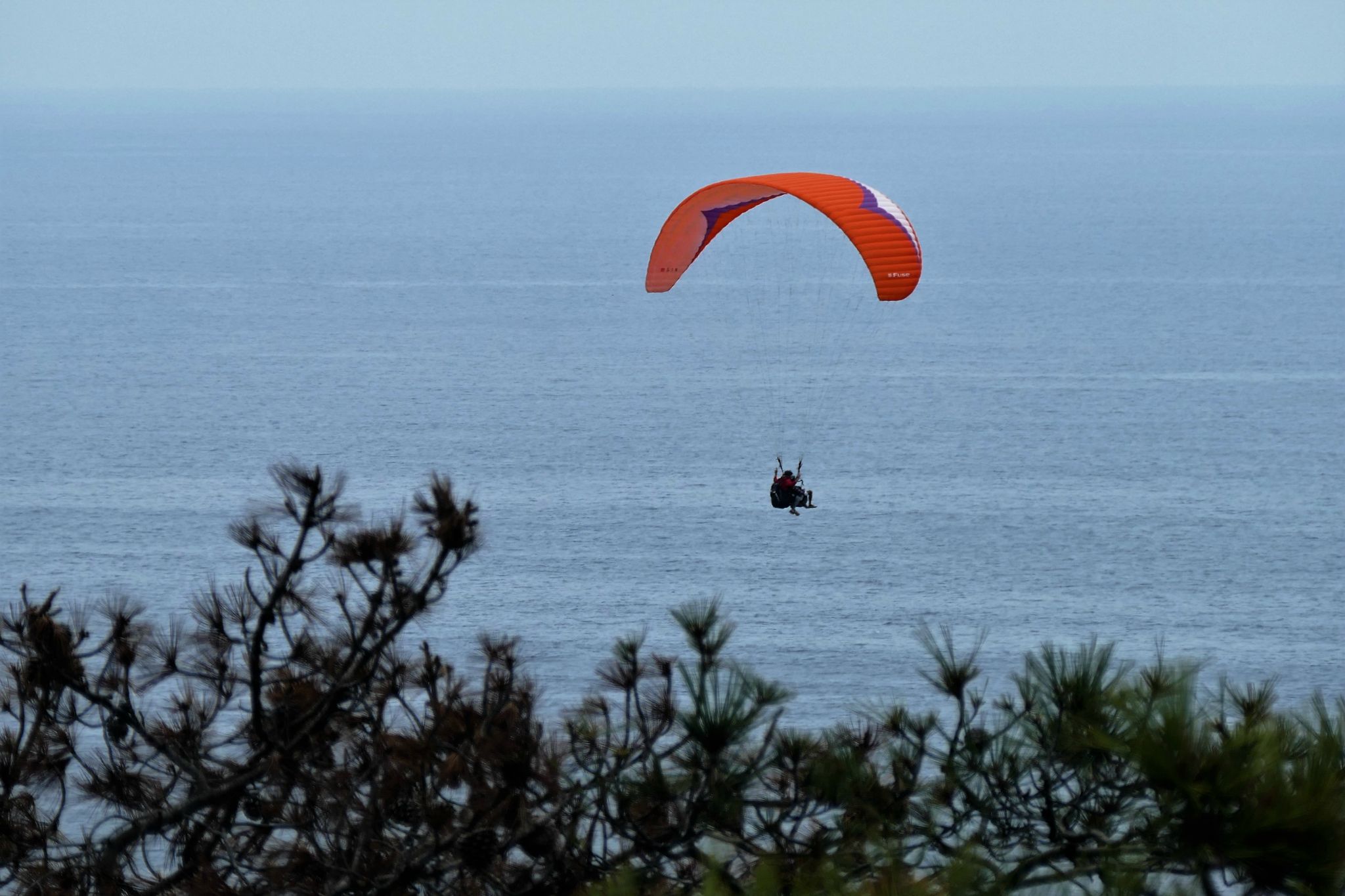 Lots of hang gliders with parachutes (I guess?)