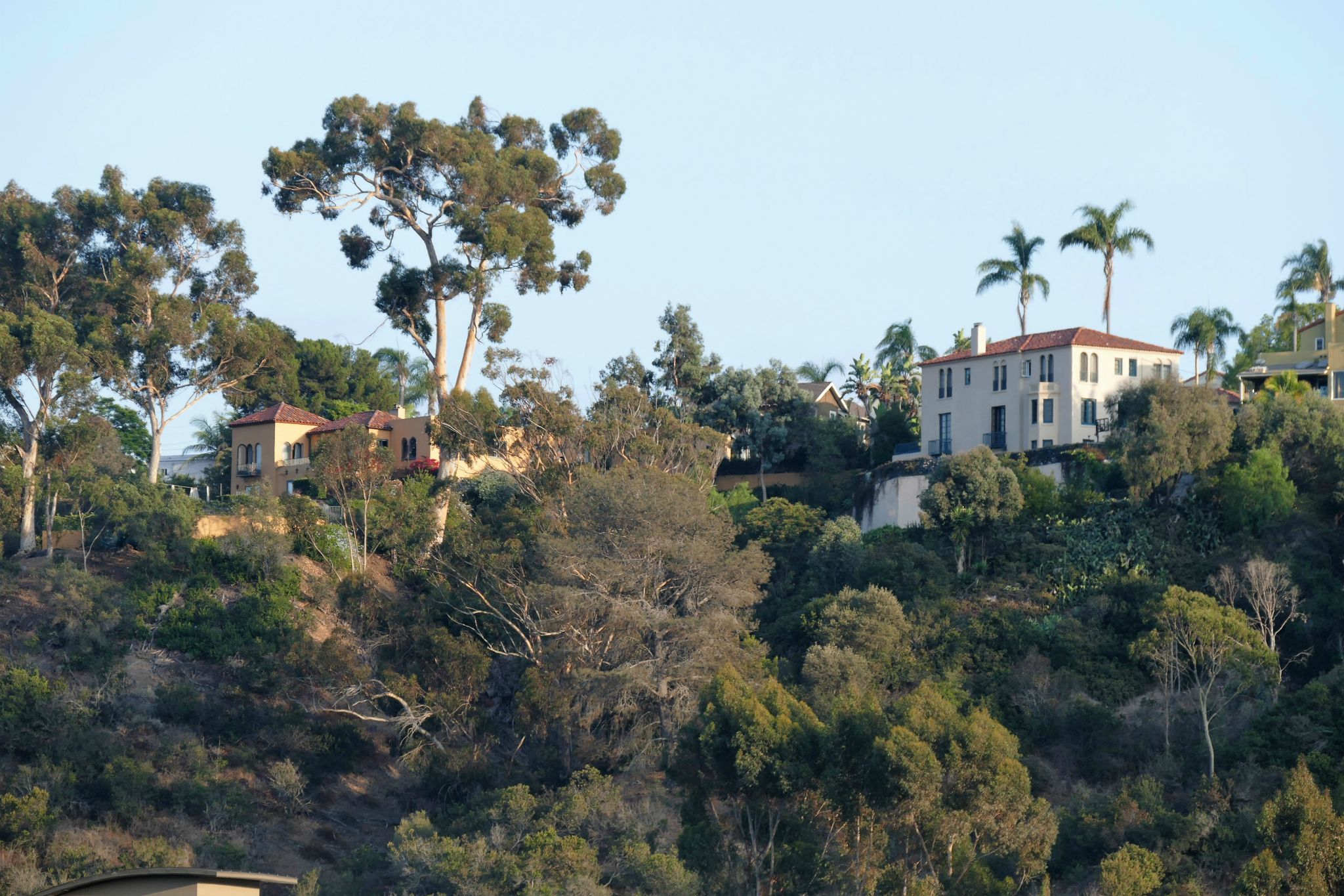 View from the back balcony