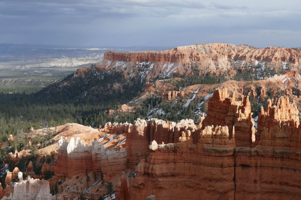 First peeks at Bryce!