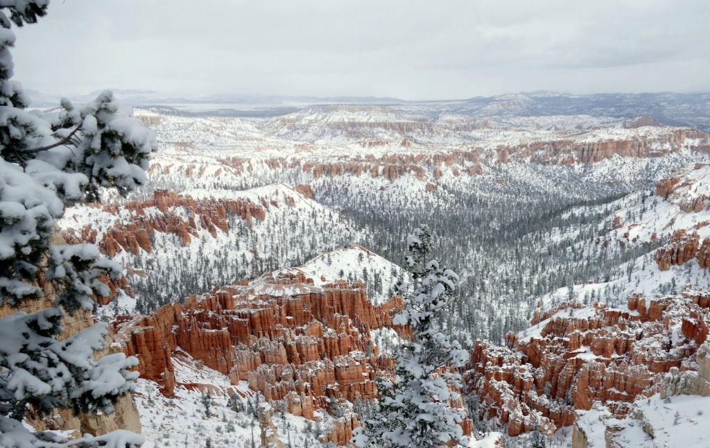 It dropped several inches of snow over night.