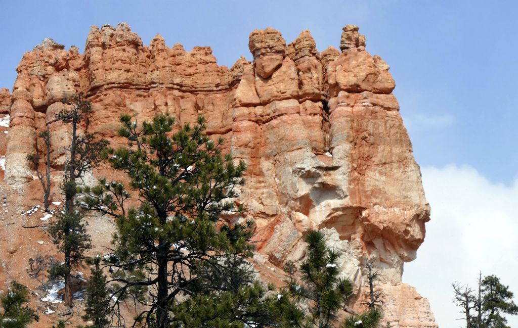 Now looking UP at the hoodoos.