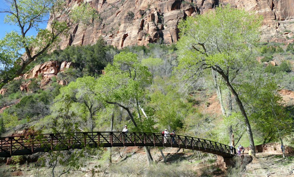 Bridge over the Virgin river on our way to our first hike, The Emerald Pools.