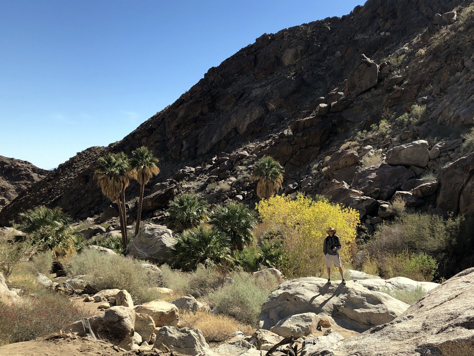 Anza-Borrego Desert State Park