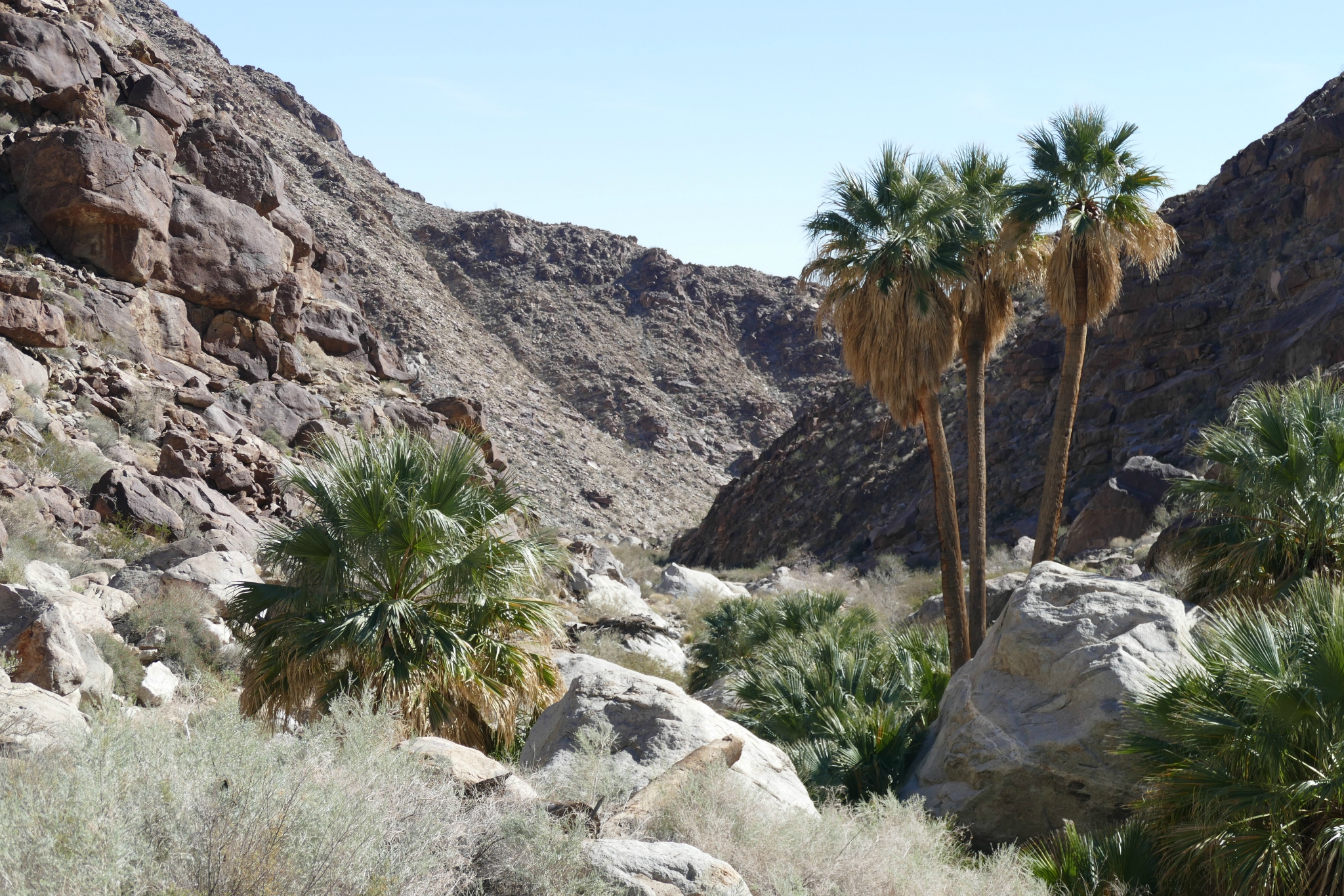 Sheep Canyon (I think).