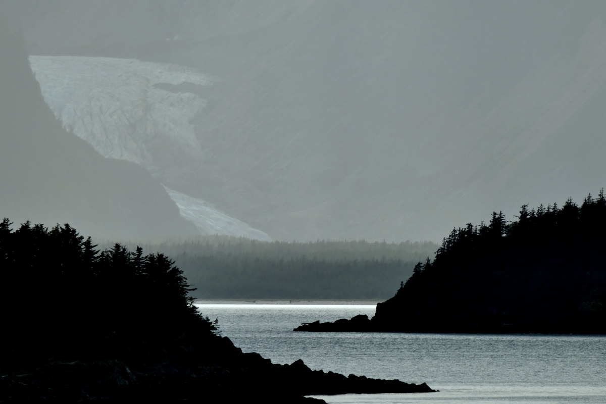 Back at sea, glaciers are everywhere