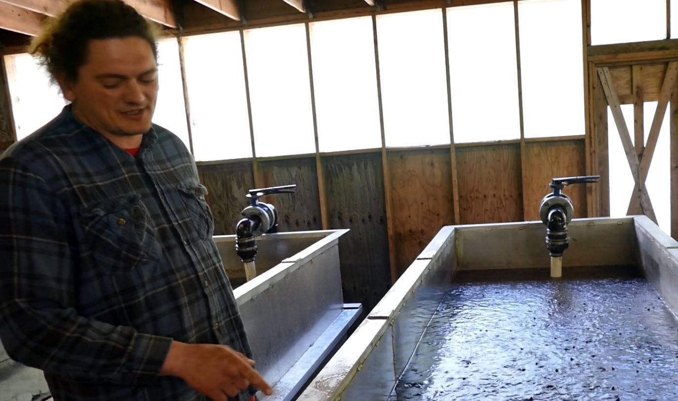 Trail Lakes Fish (Salmon) Hatchery tour