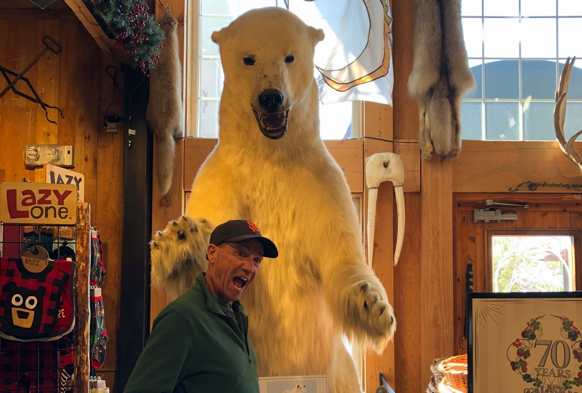 Unusual Polar Bear sighting inside the chocolate store!