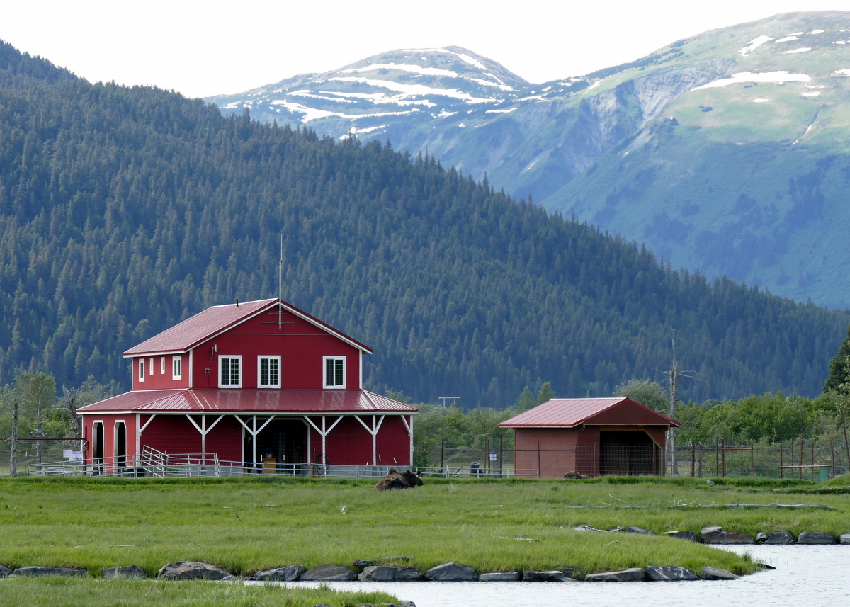 The Alaska Wildlife Conservation Center