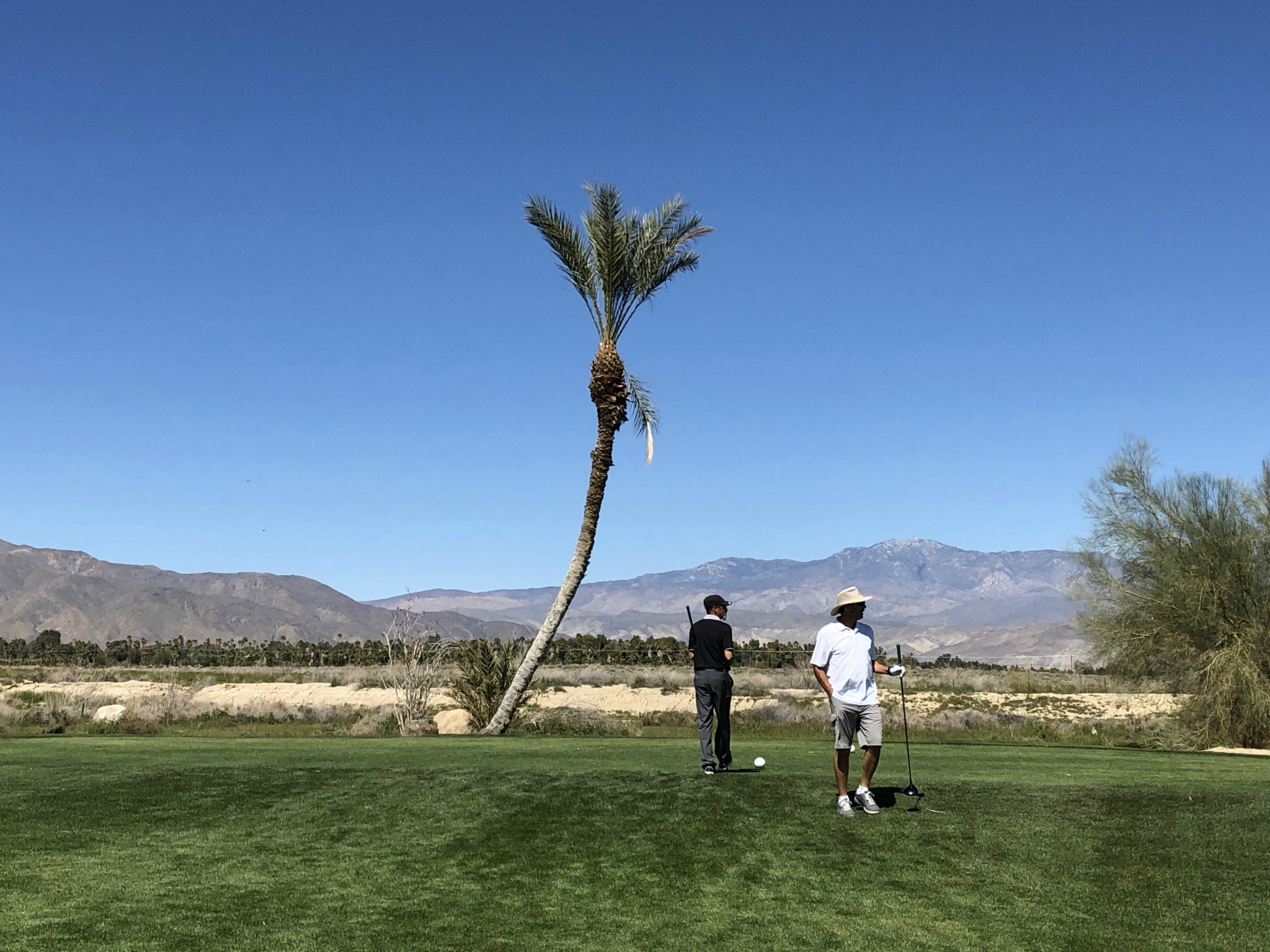 Golf at Borrego