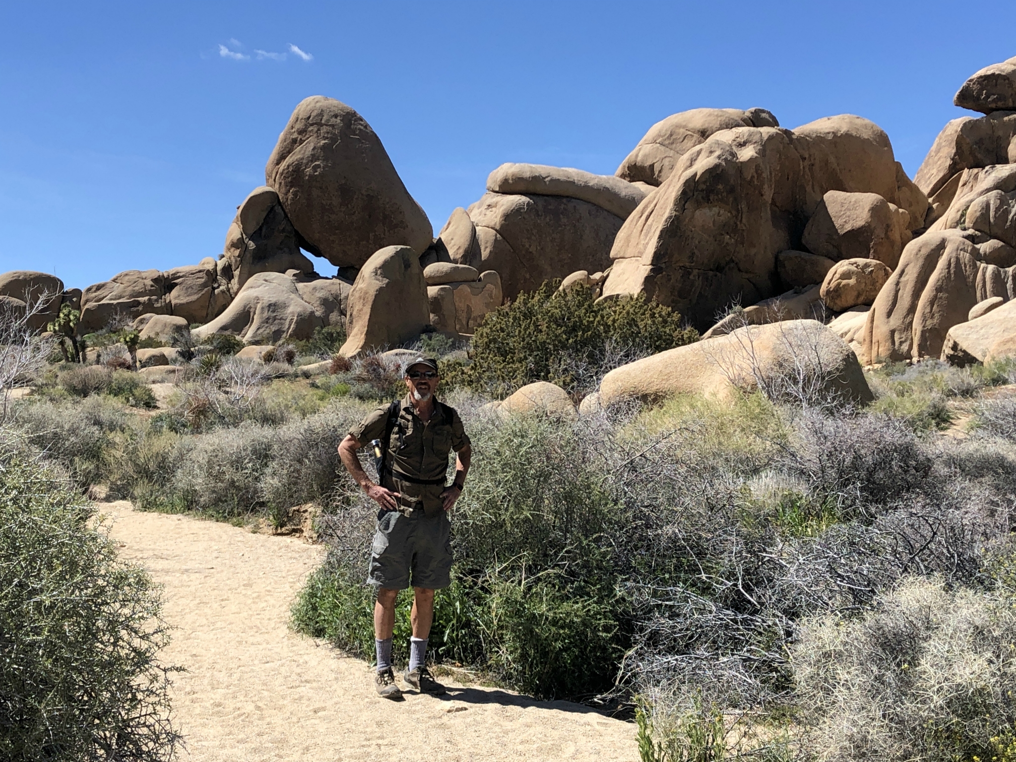 Joshua Tree Park