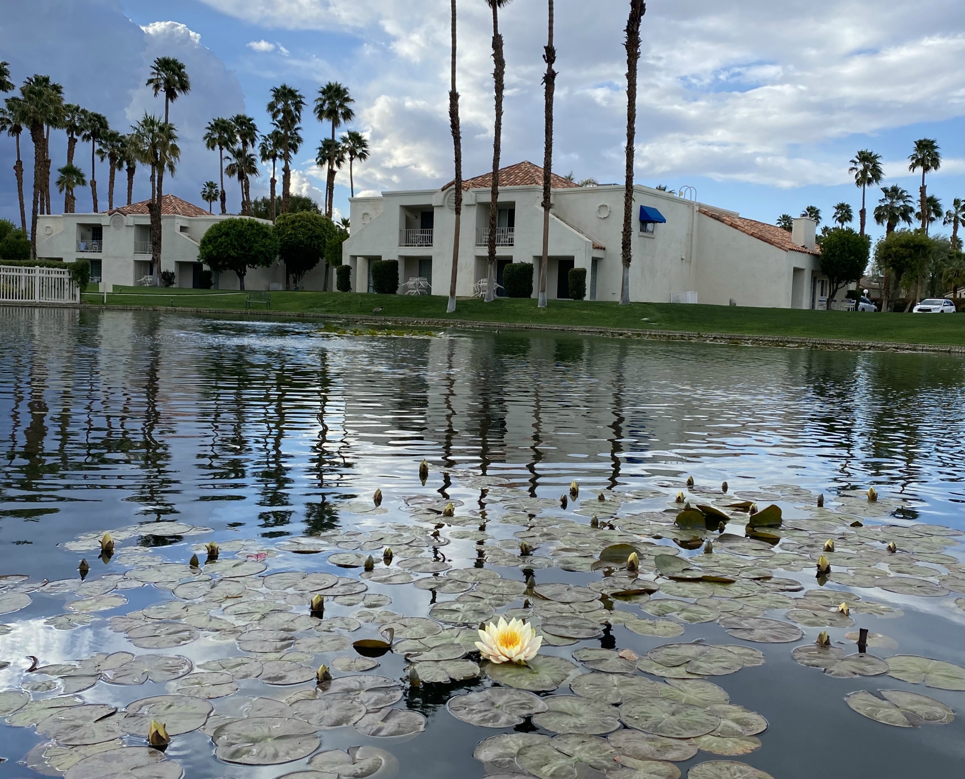 Around Desert Breezes