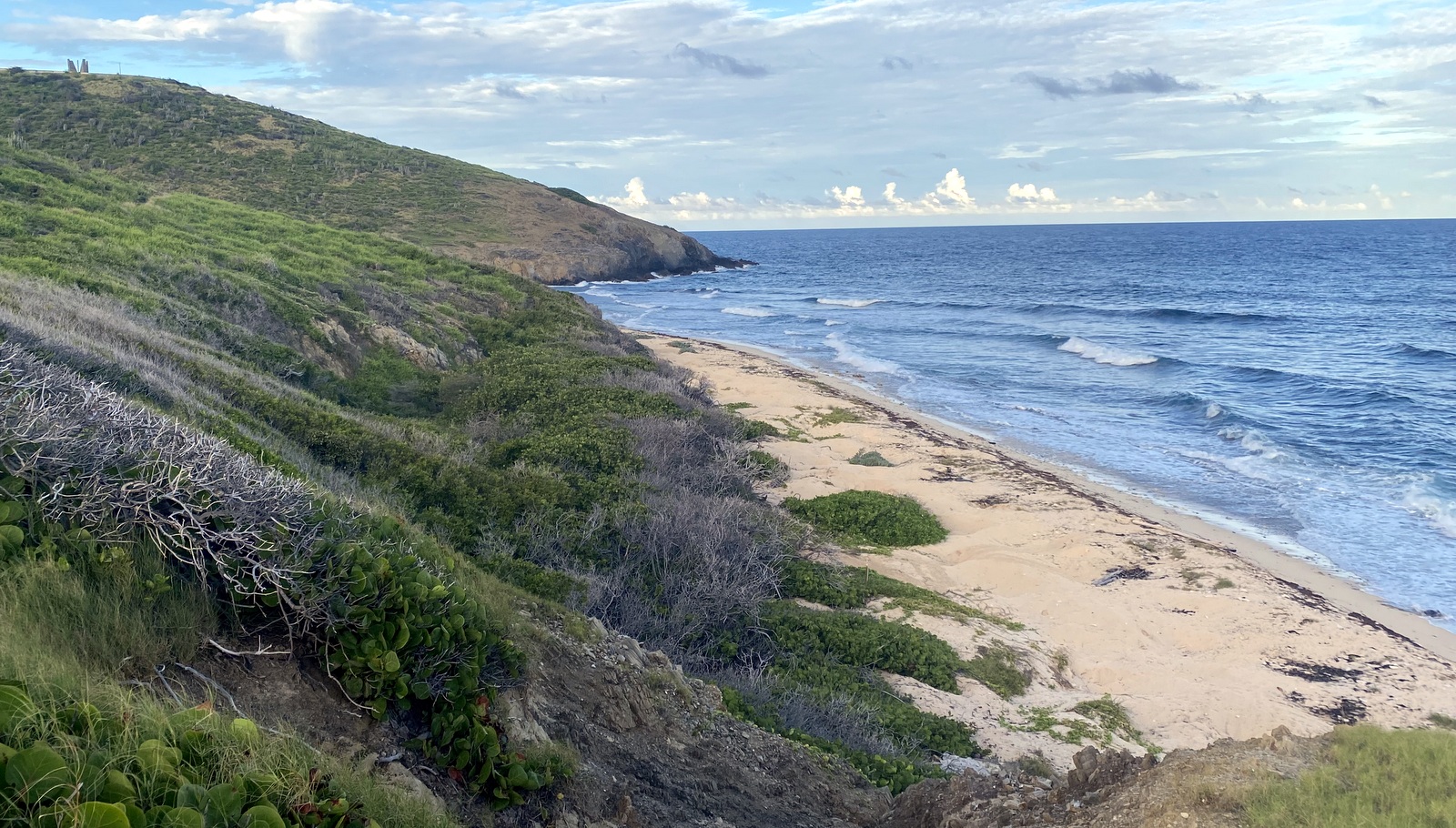 Looking back On Isacc Bay