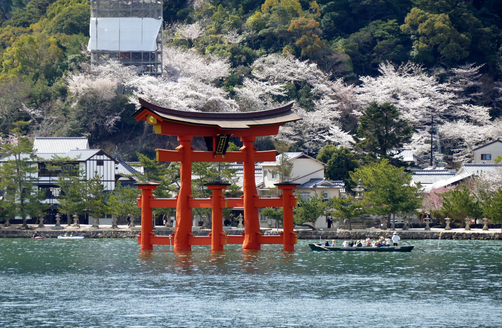 Ferry approaching Miyajima