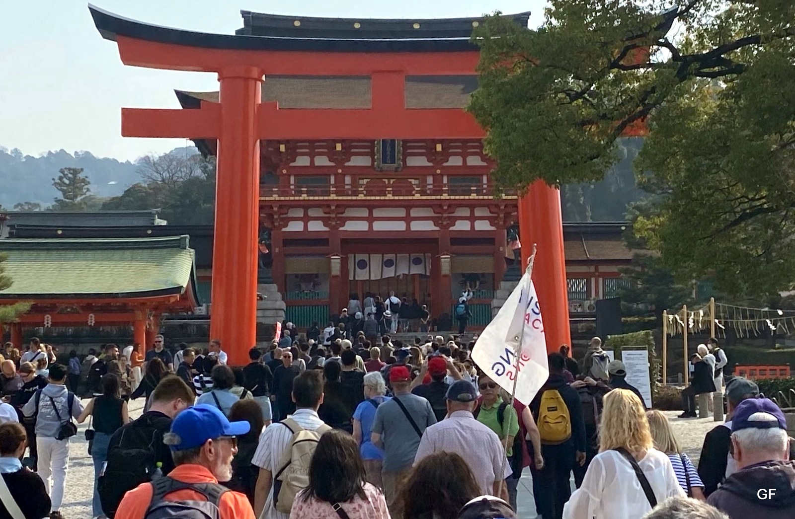 1000 Tori Gates