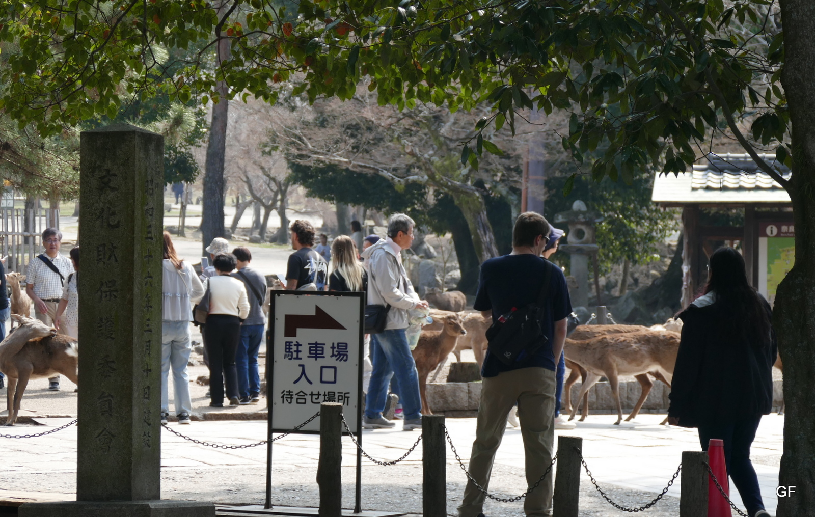 Nara Park
