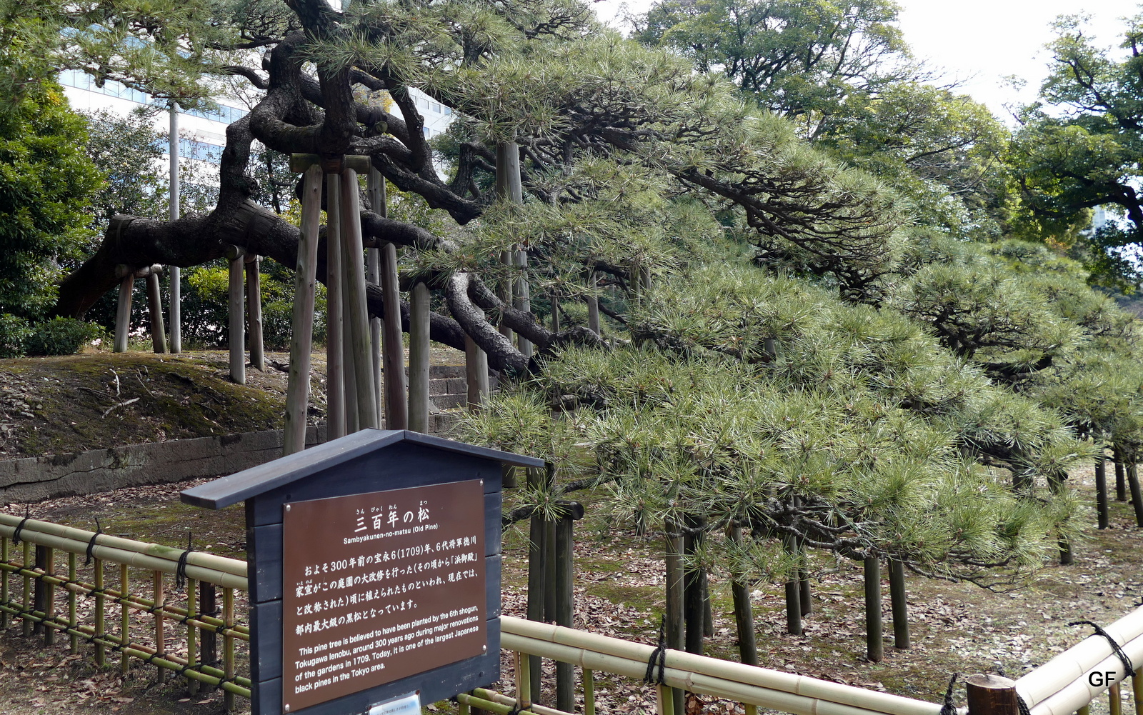 Hama Rikyu Garden