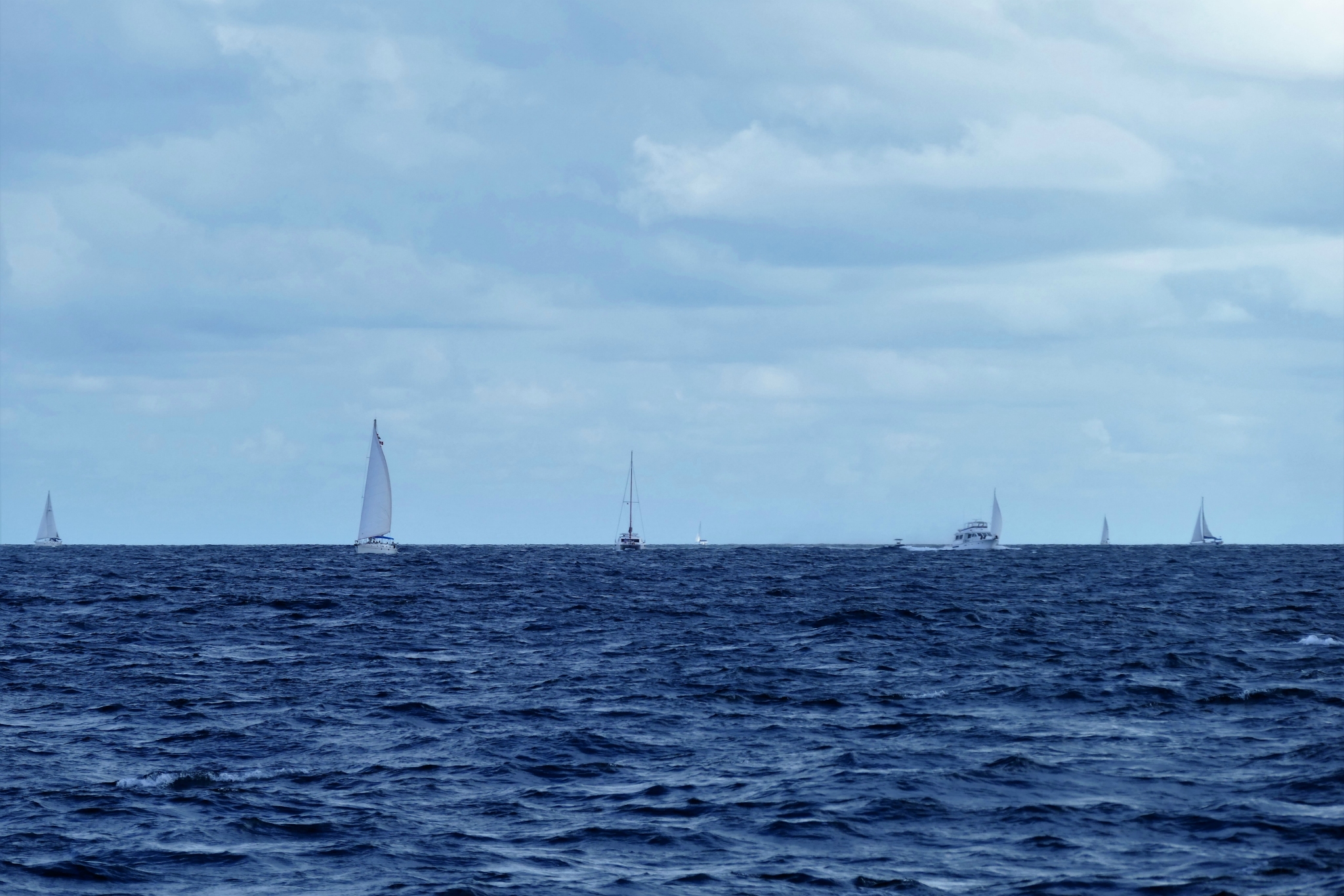 We head out for some spirited sailing. The channel is a bit crowded.