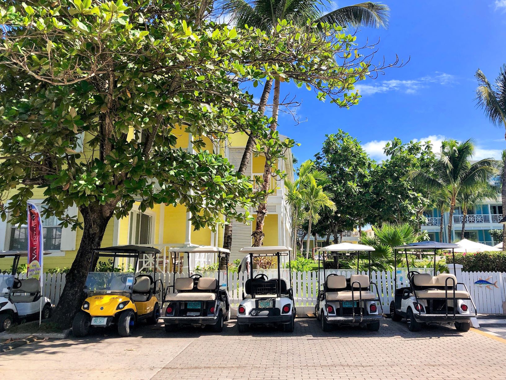 Just got our cool golf cart. Ours is the cool one next to the yellow cart.