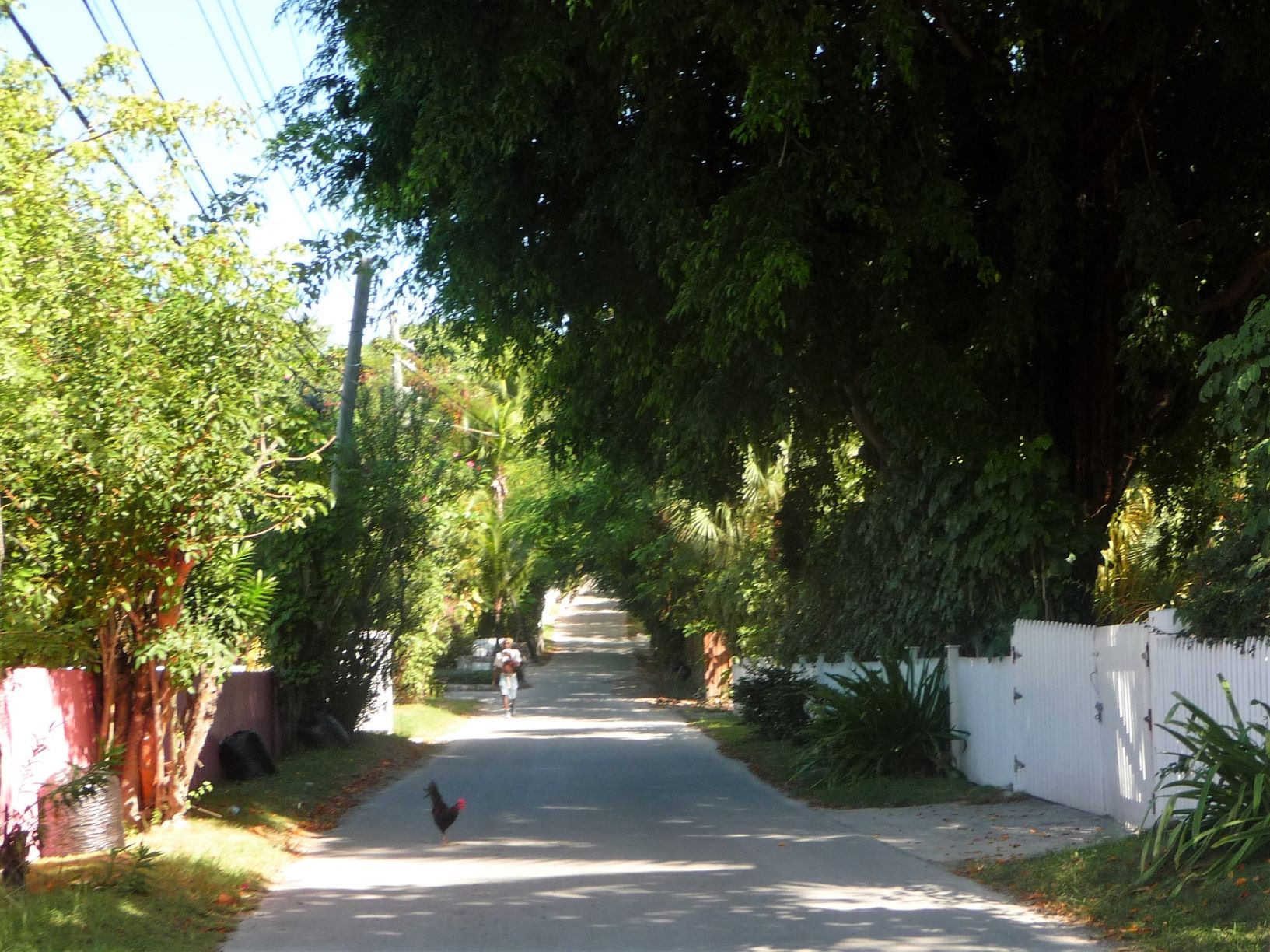 Road to one of the many beaches