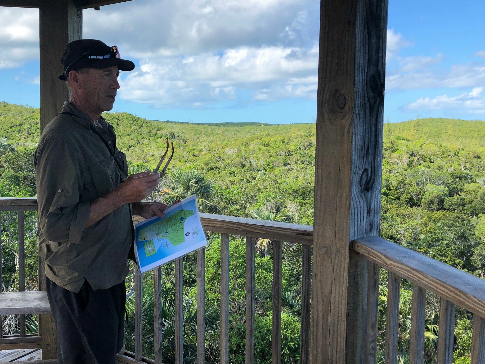 Finally, the tower overlook of the jungle