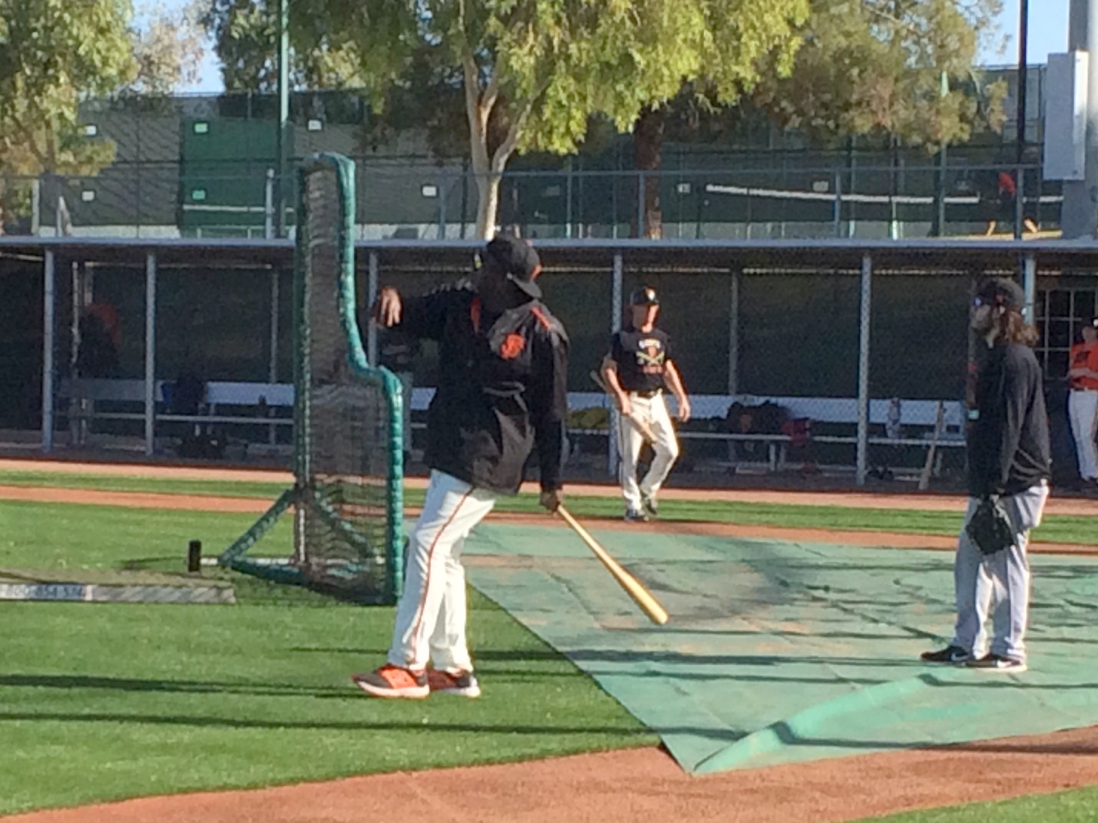 HacMan hitting fly balls