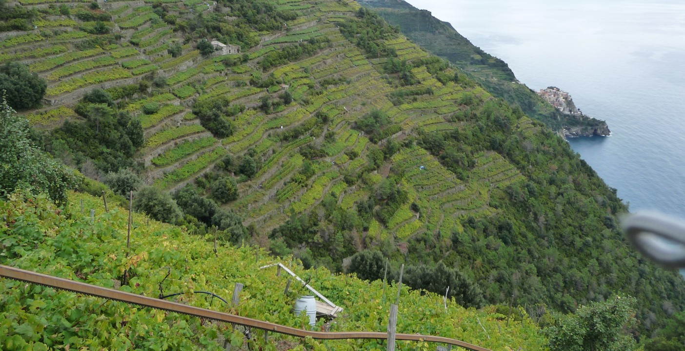 Another beautiful view of Manarola in the distance.