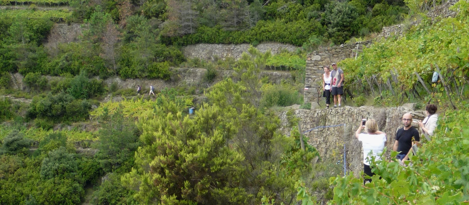 The long hike down into Manarola