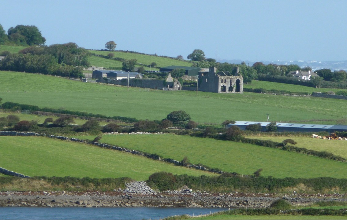 The drive to Dingle