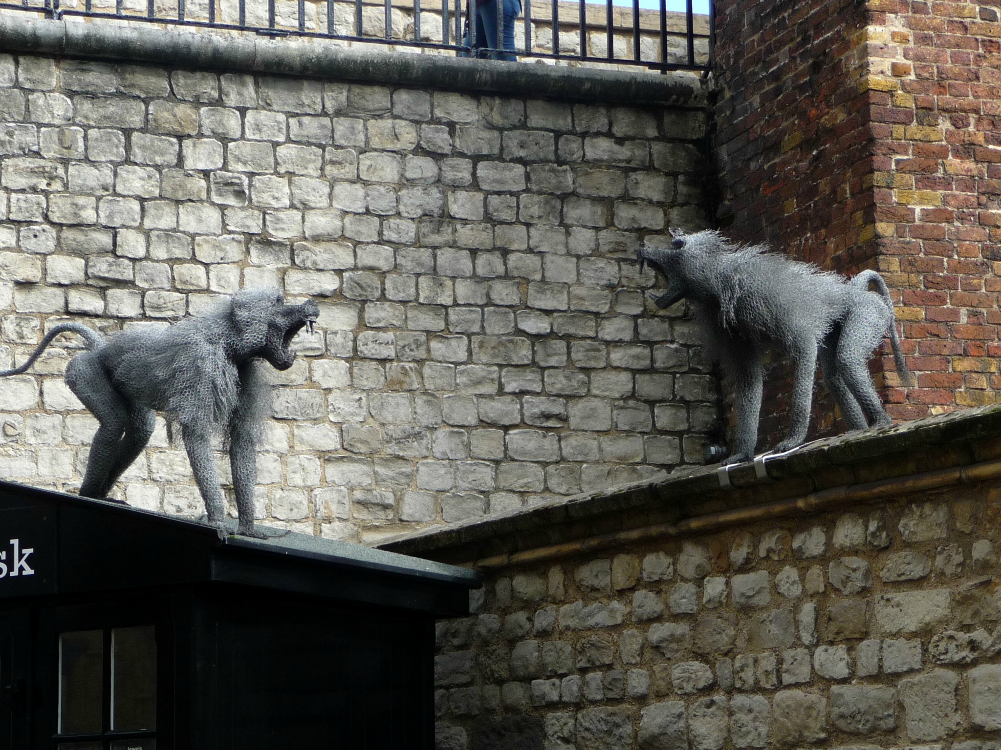 And here they are!!! (Just kidding; these are wire baboons.)