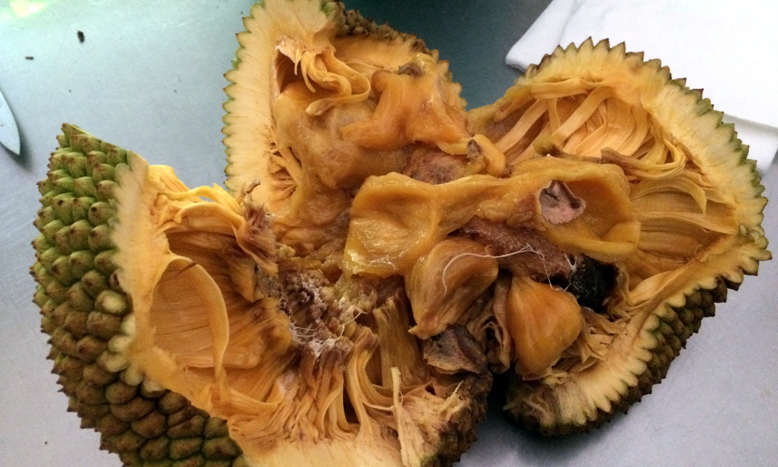 Inside the Jack fruit.