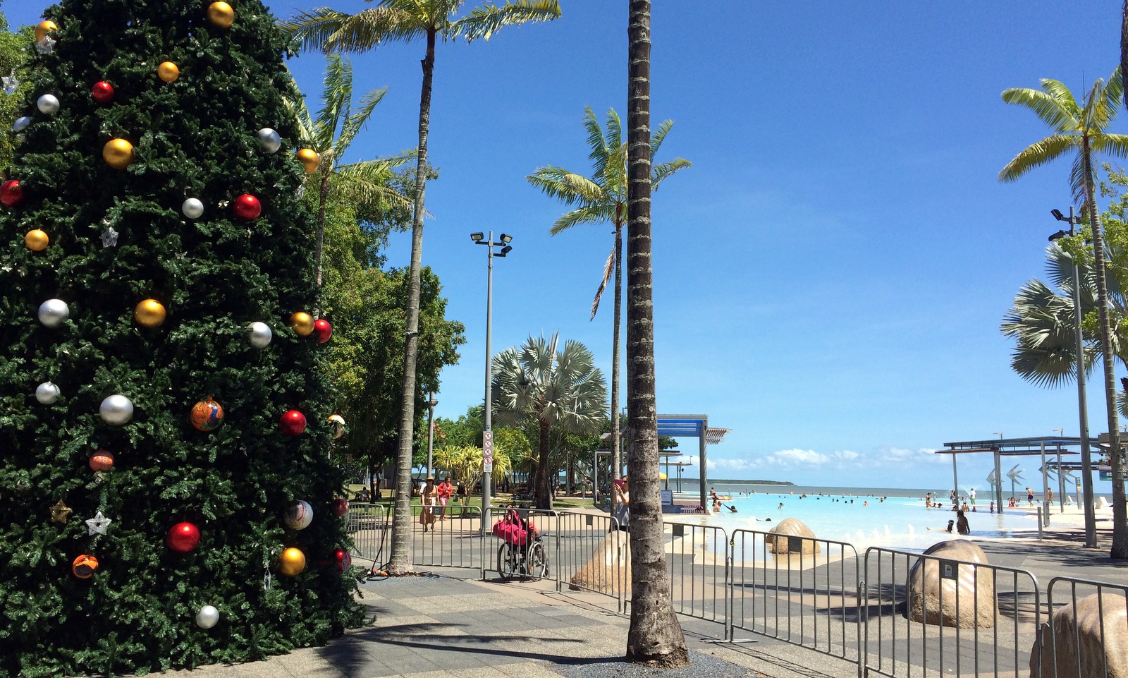 Just a little early for Christmas tree lighting.