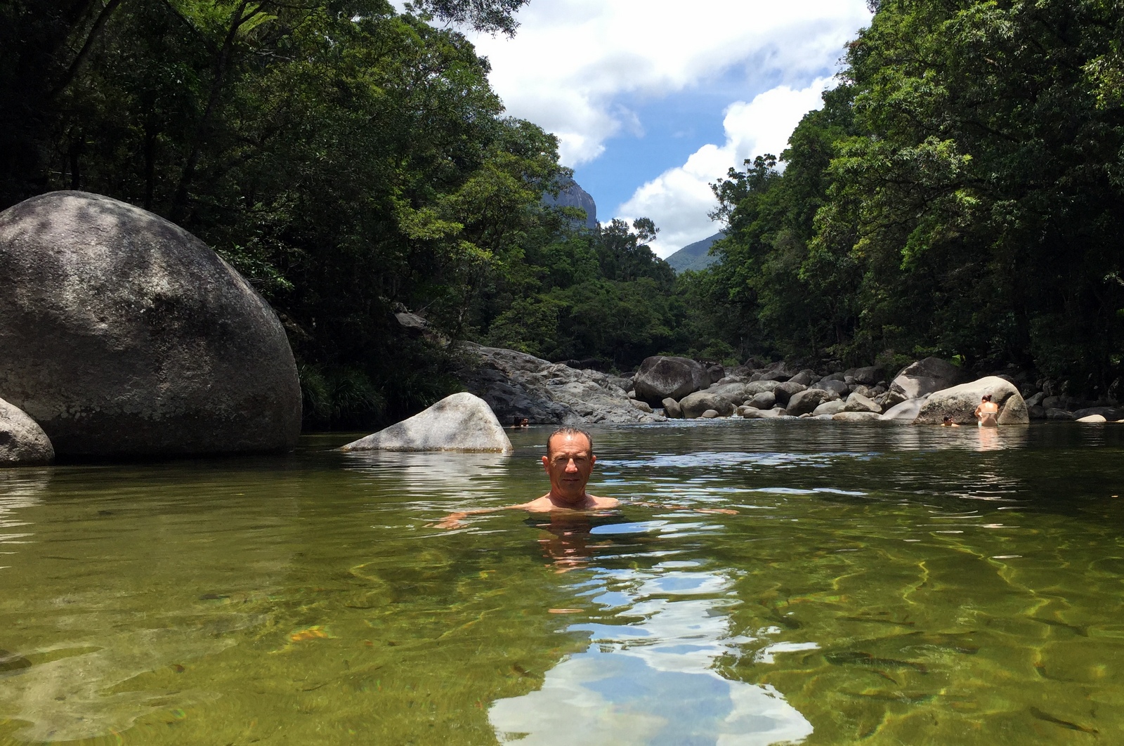 Giant deadly geezer in the swimming hole, waiting for handouts.