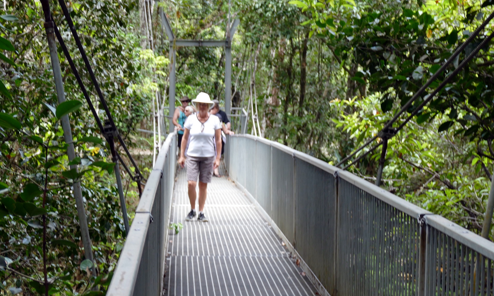 Blurry picture of a nice footbridge.