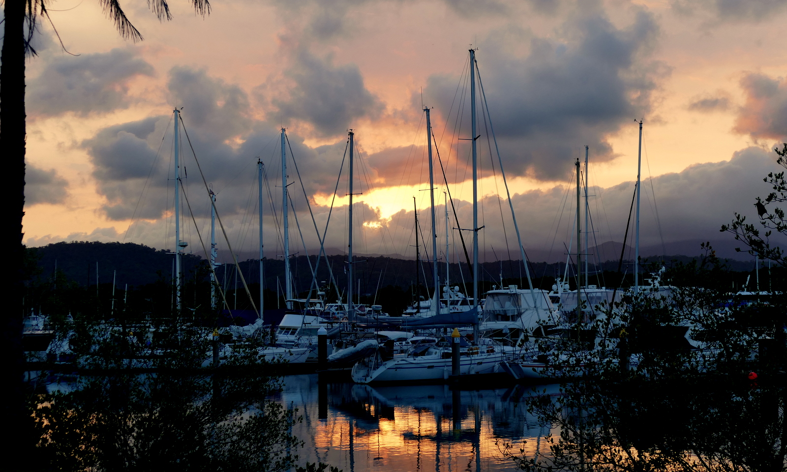 That evening, we went back to the harbor for sunset, and for the multitudes of Fruit Bats in the trees. We were told that they fly to Daintree for dinner at dusk.