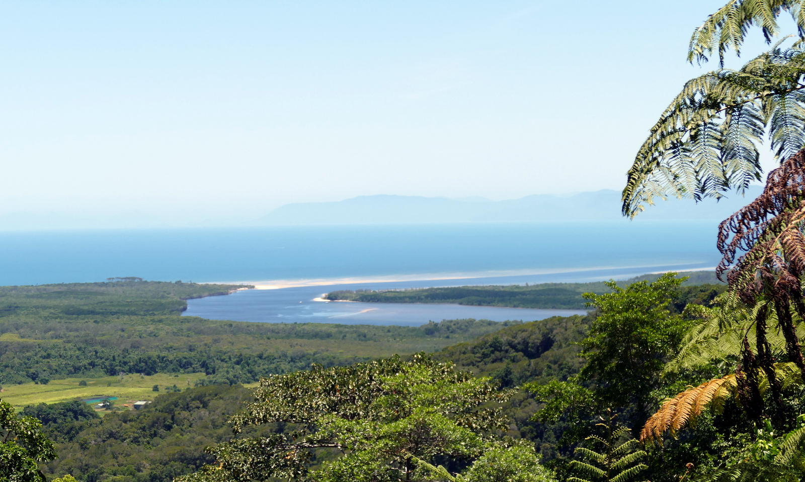 The next day we drove to Cape Tribulation. A ferry takes everyone across the Daintree River, and north of that, everyone is 'off the grid' because there is NO grid (power, internet, phone service, nothing.) This view at Mount Alexandra.