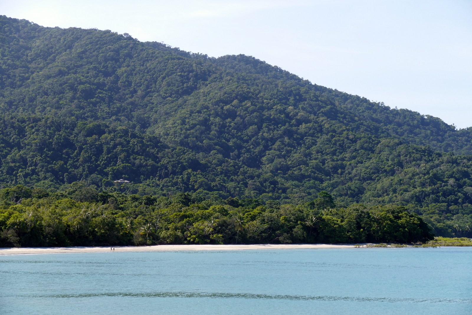 What a waste of beautiful beach! Taken over by crocs and jellies.