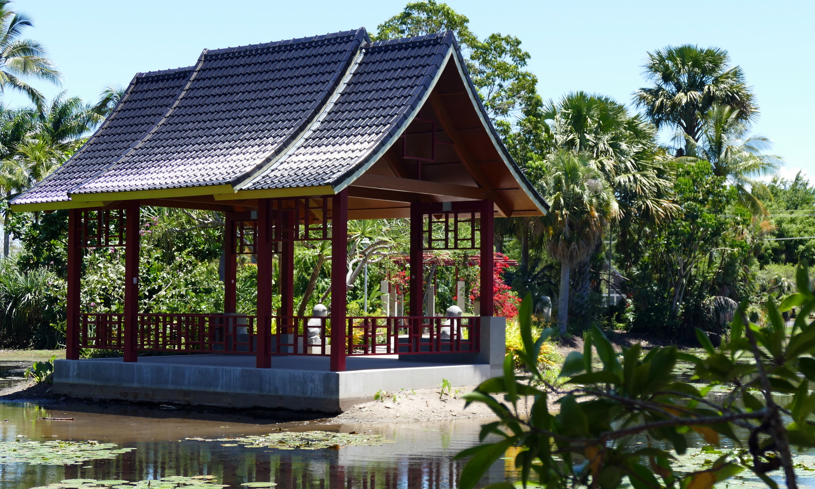 A small Japanese grove.