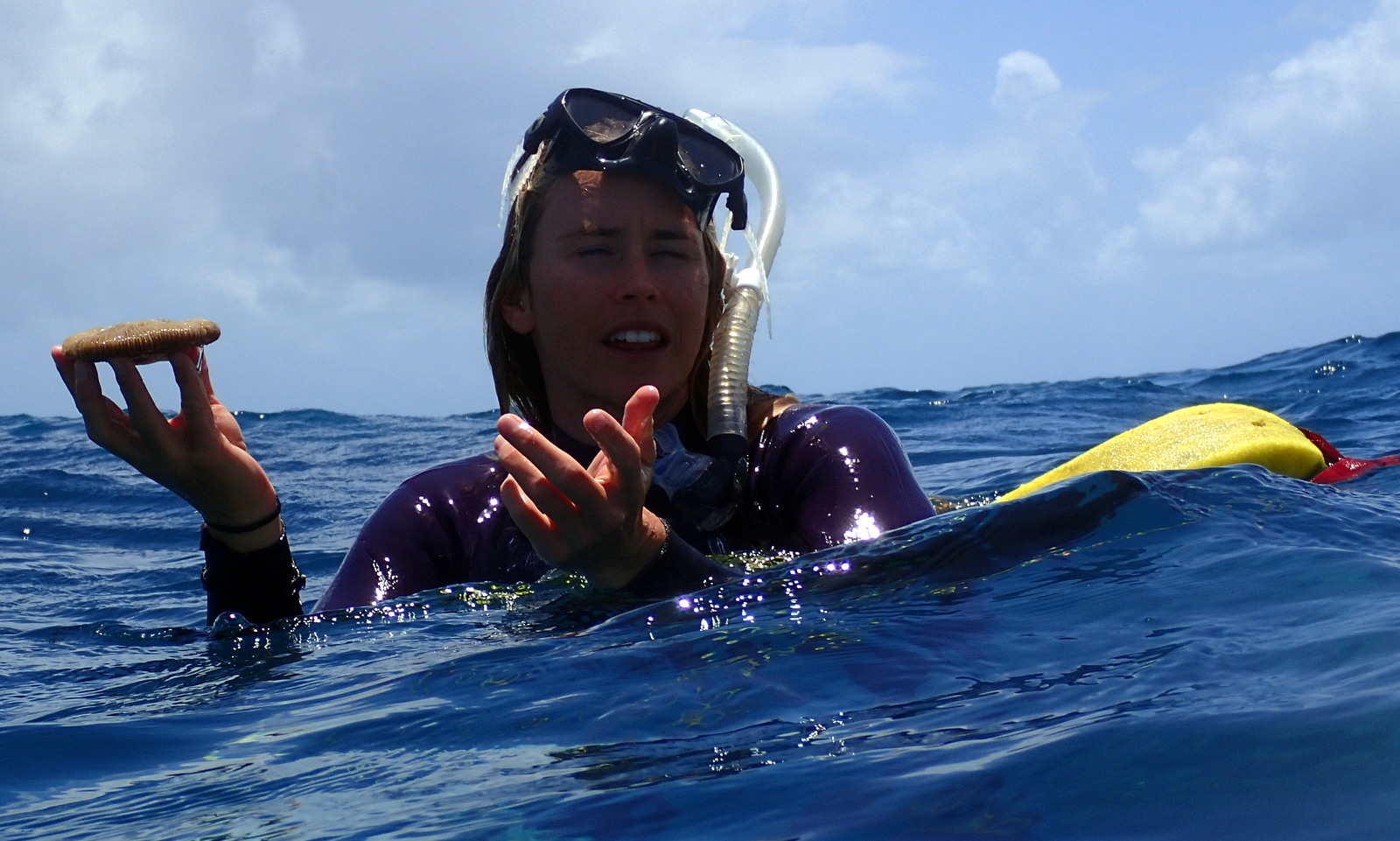 Analy, the marine biologist, showed us a few things in the water. This item is a piece of coral which emits mucus when removed from the water. 