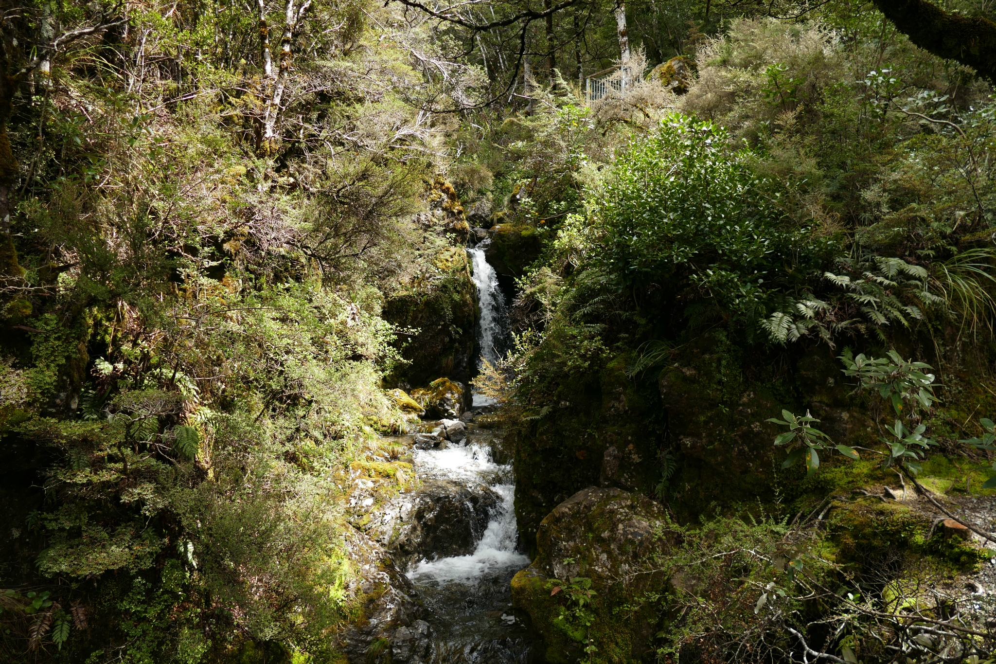 Behind Arthur's Pass visitor's centre