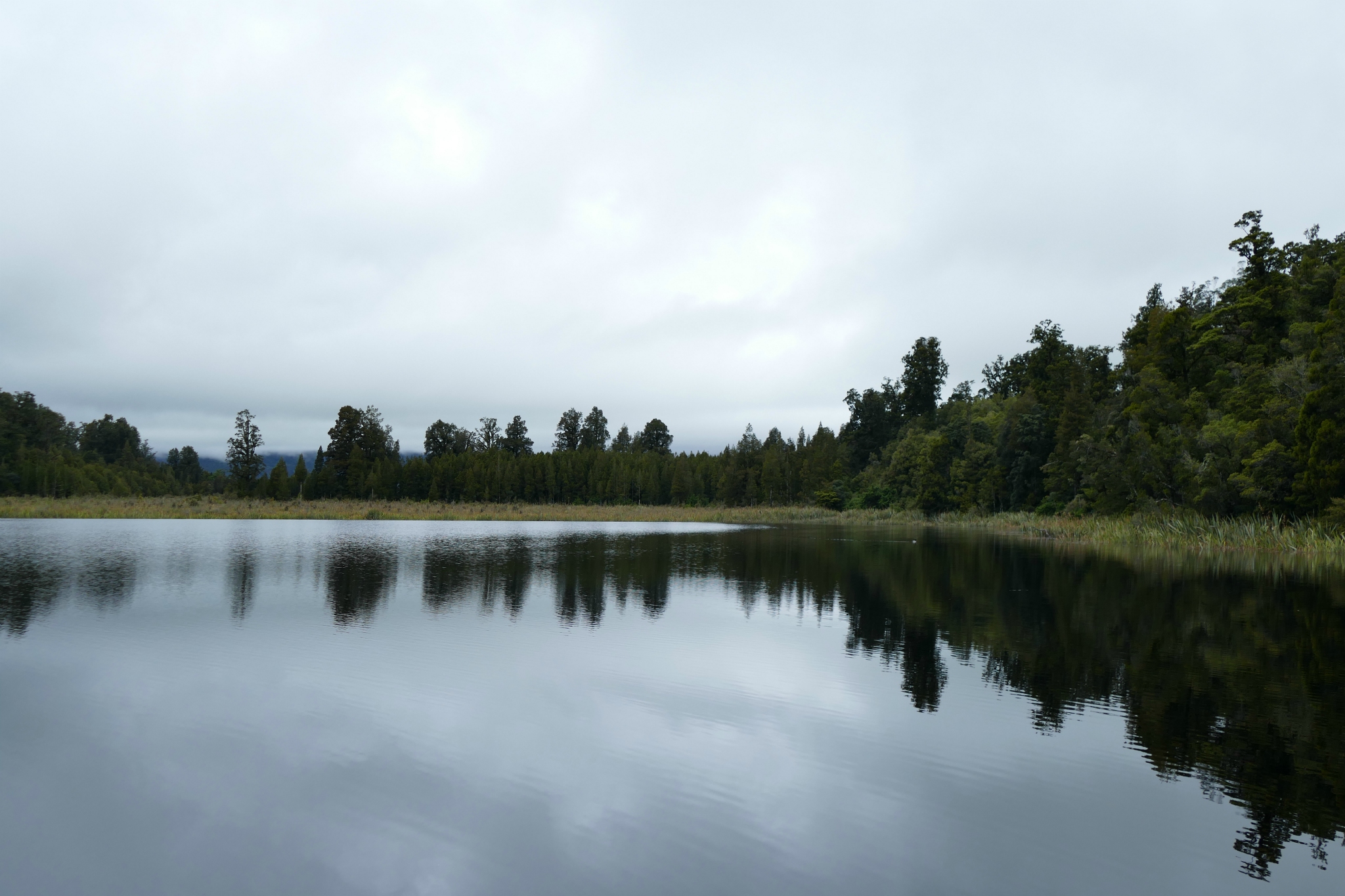 Lake Mathison and fog.