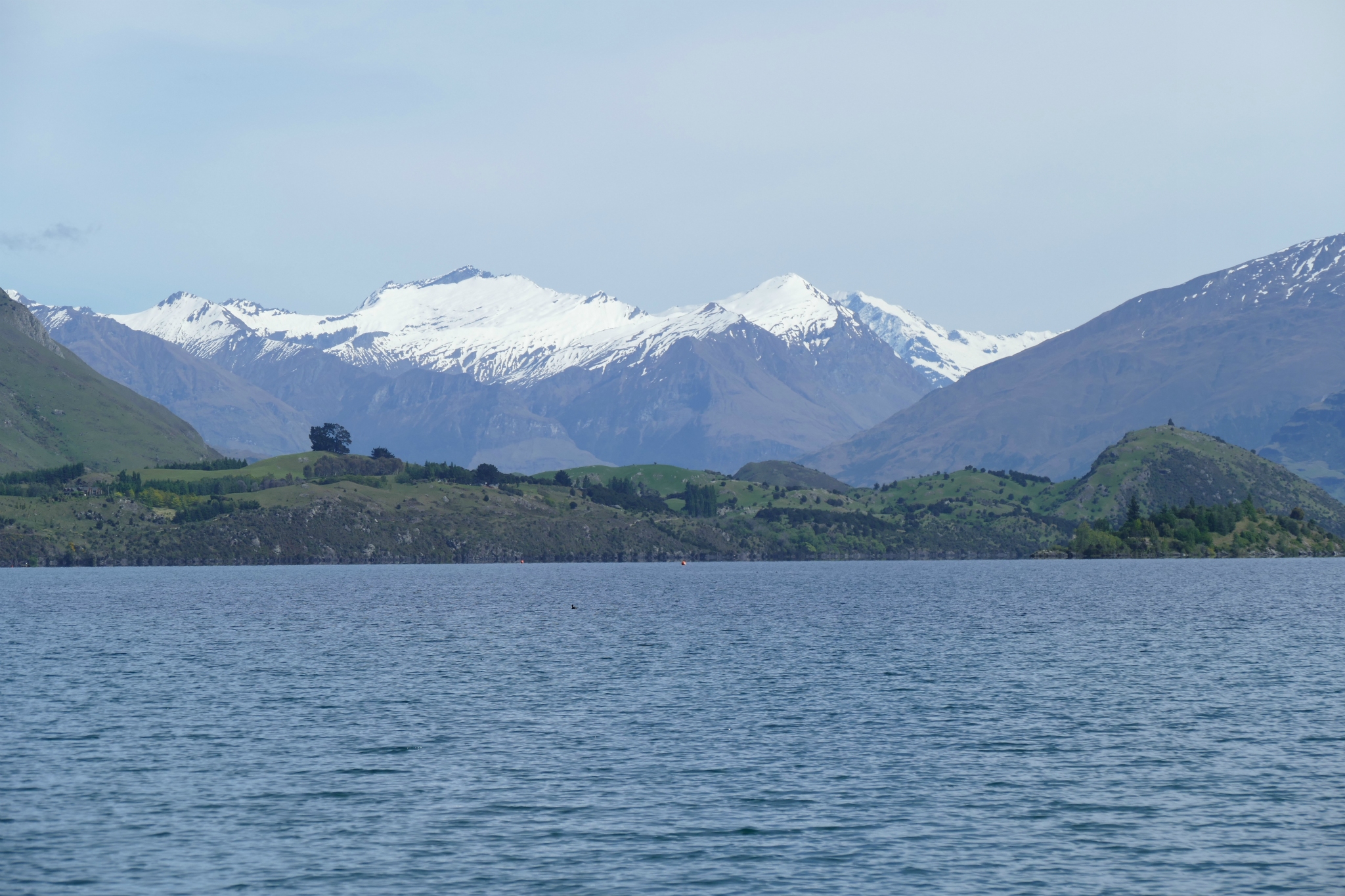 Lake Wanaka. Election Buzz Kill!