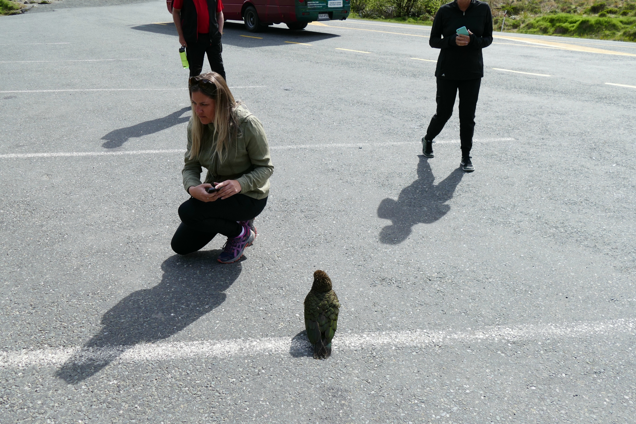 And another Kea