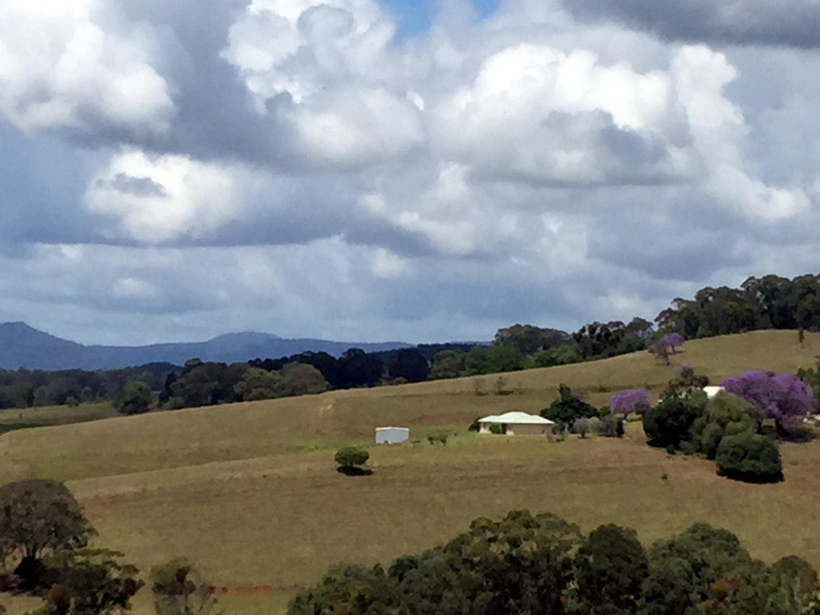 Somewhere near Hunter Valley...