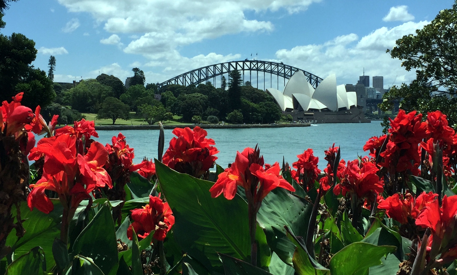 Then we toured the beautiful botanical gardens...