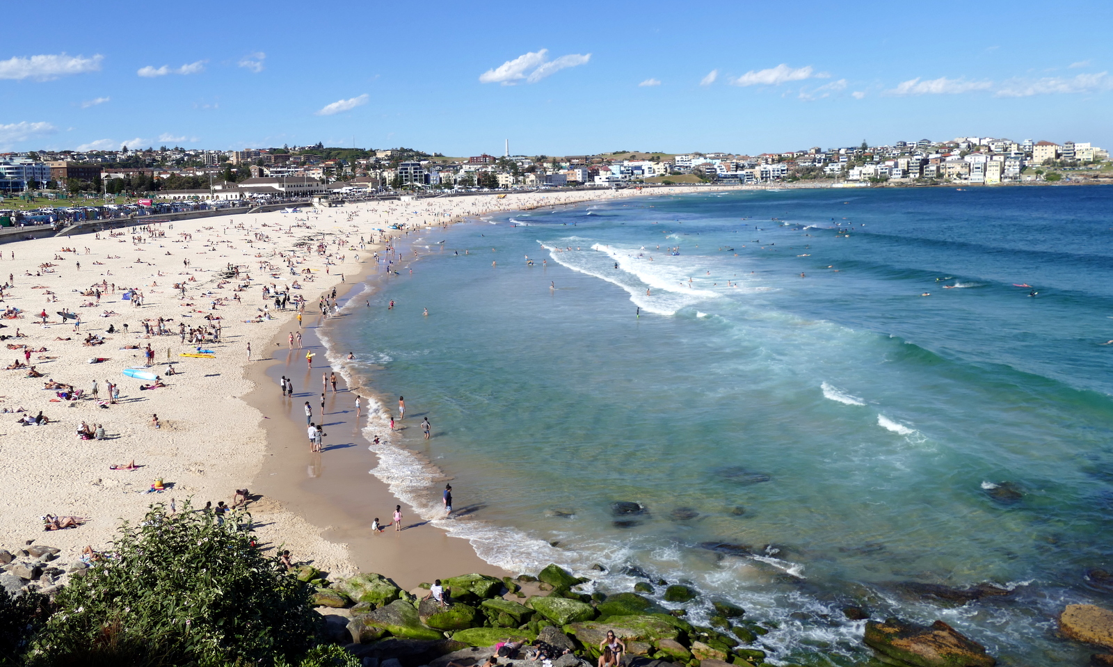 From the Bondi Icebergs Club