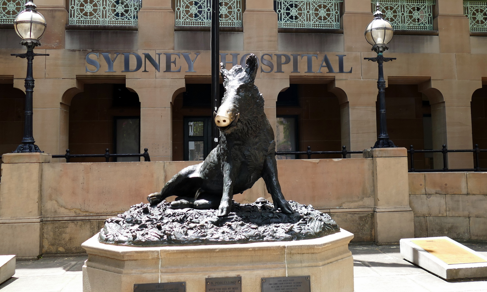 This bronze boar in front of the old Sydney Hospital brings good luck to anyone who rubs its nose, or other appendages.